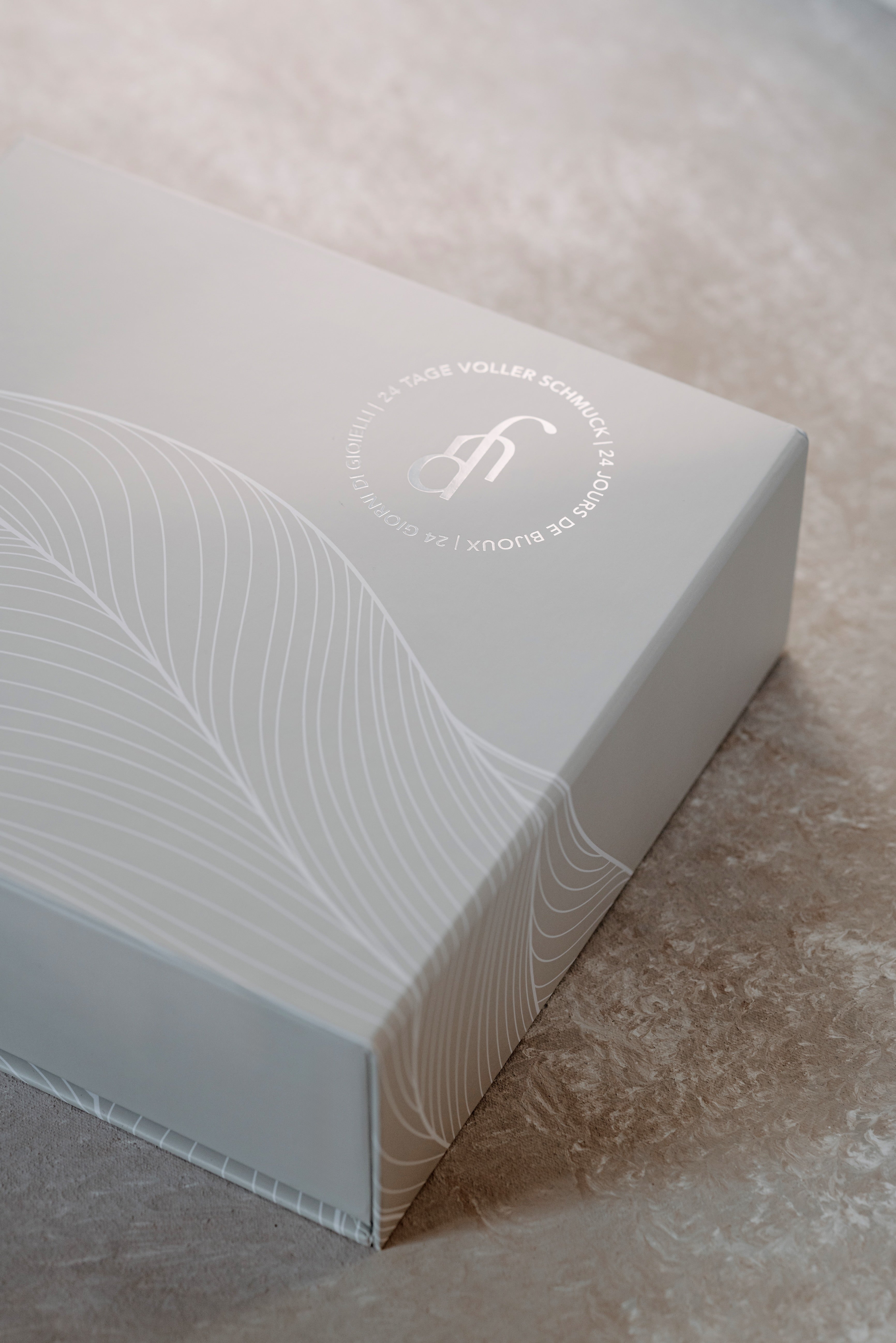 Calendrier de l'Avent 2025 / À composer - Argent